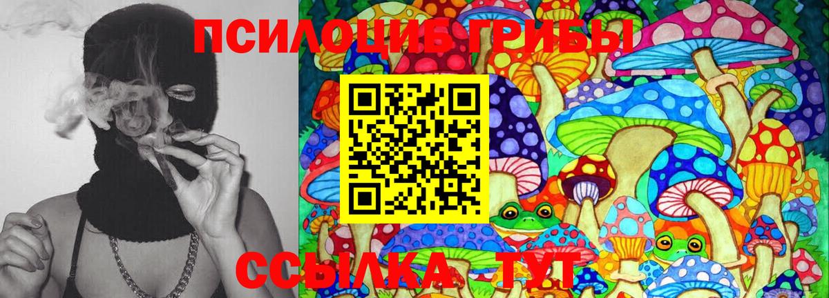 Прокопьевск  Псилоцибиновые грибы Psilocybine cubensis  Вход с VPN 