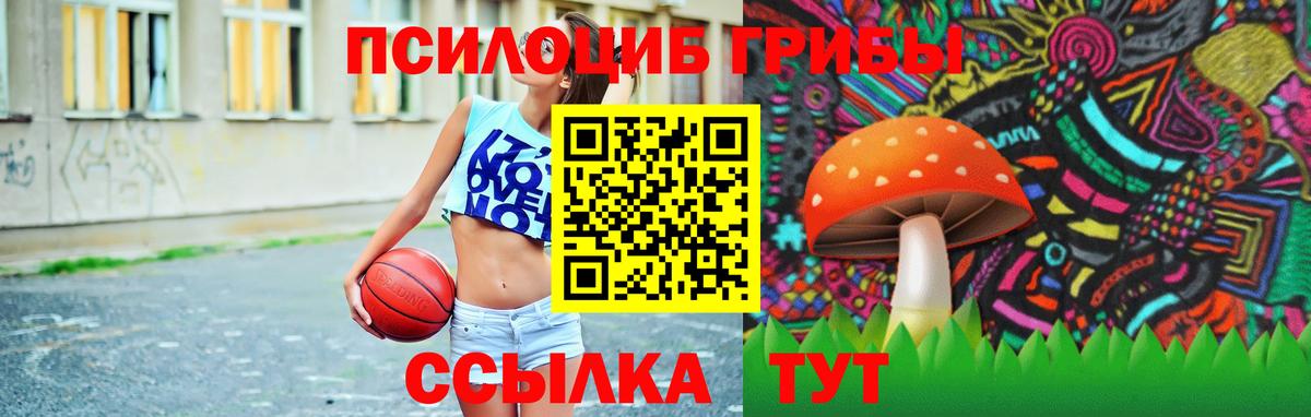 Галлюциногенные грибы Psilocybine cubensis Прокопьевск